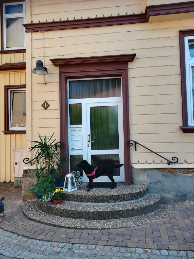 Ferienwohnung Zur Alten Post Bad Grund Exterior foto